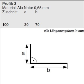 Aluminium Winkelprofil 70/30 Länge 2 Meter, HG 2